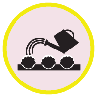 Stroh2Asset 5